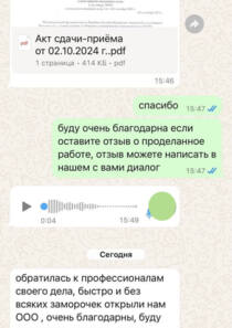 Отзыв БетаКонсалт — Екатерина